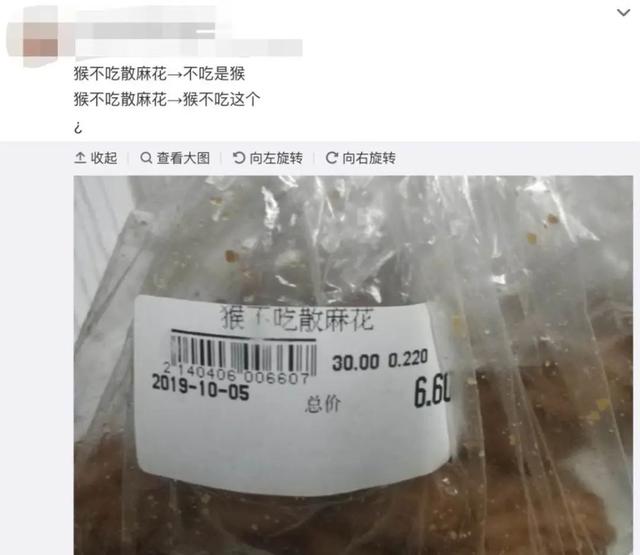 小猫名字接地气，见到天津猫不闻