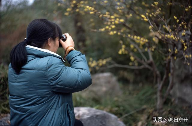 复古情怀胶片相机满满的仪式感，九款实用仿拍立得胶片感APP大测评