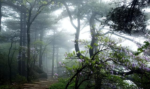 九华山地藏王菩萨，九华山十大寺院