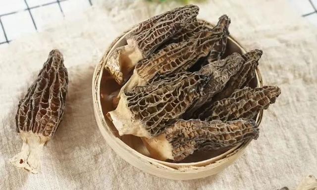 菌菇科普篇菌中之王，各种食用菌菇大全