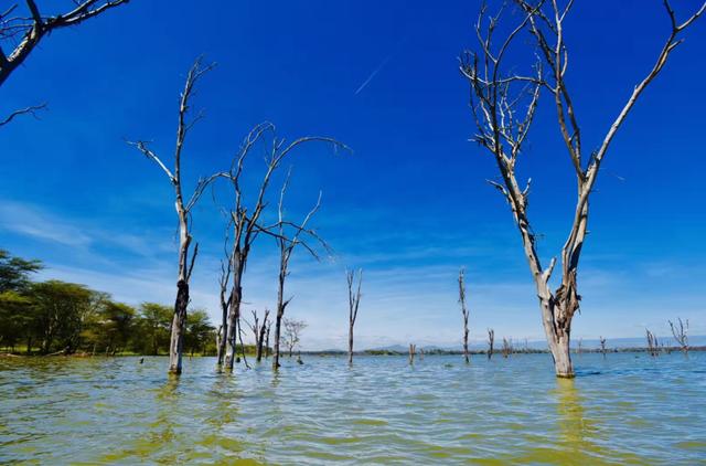 地球经历的几次冰川时期，地球大陆分裂:第八大洲在形成
