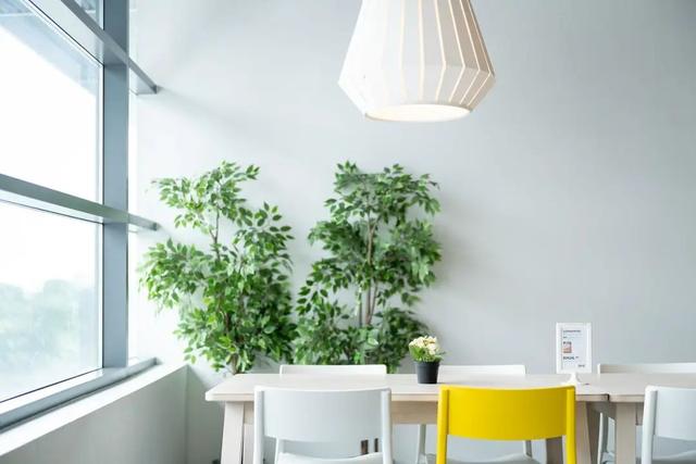 克服焦虑的方法，如何应对焦虑的四个妙招