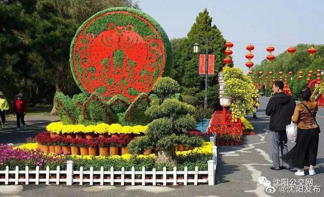 我们身边的沈阳，他曾数十次翱翔在沈阳的上空