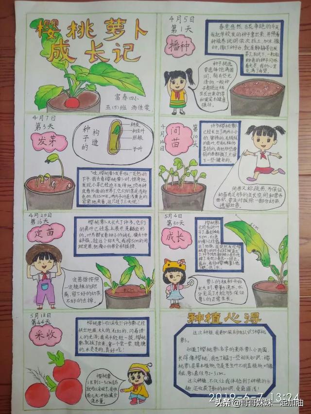 少女心的手抄报，a4纸画少女可爱手抄报