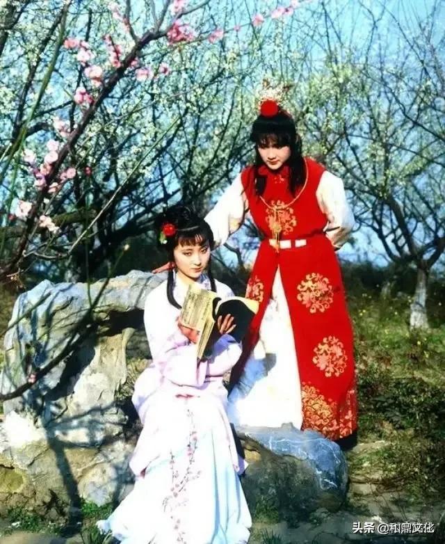 红楼梦林黛玉葬花的原因，刘姥姥揭开林黛玉死因