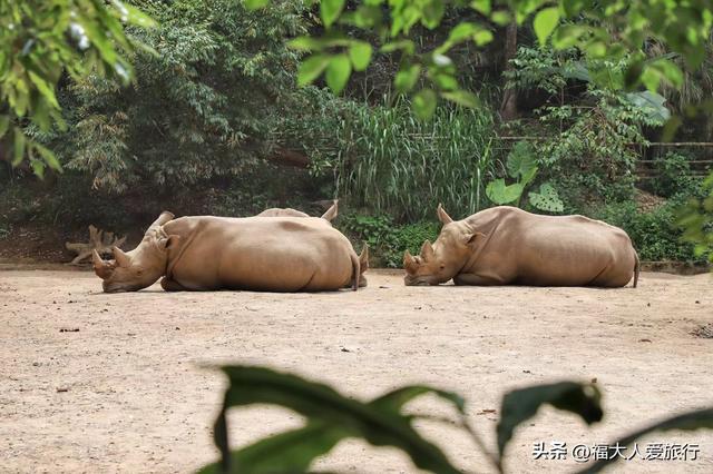 普洱到西双版纳，西双版纳普洱旅游攻略