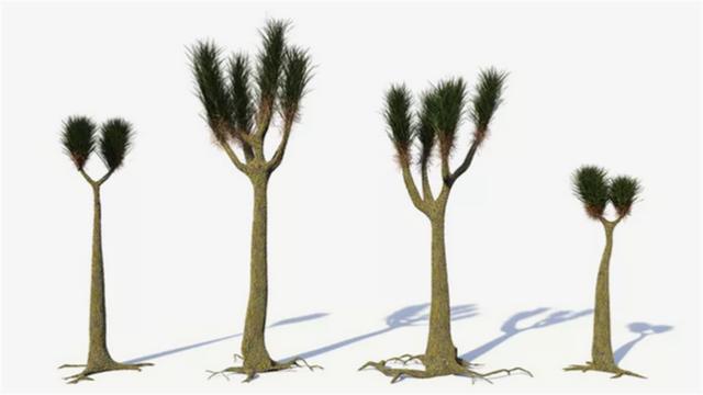 唯一灭绝的植物，10种历史悠久的植物及其灭绝的原因