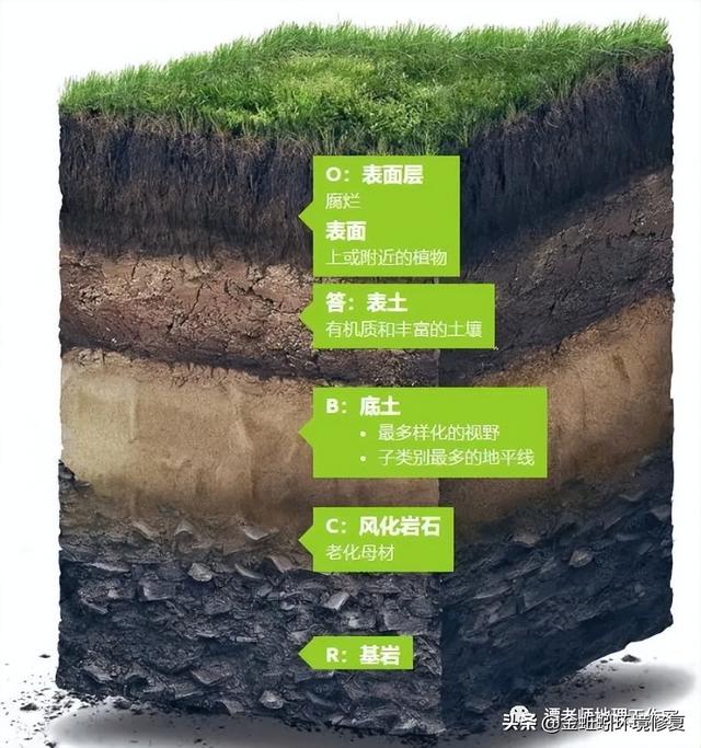 我国的土壤分类有哪些，中国15种主要土壤类型和具体分布地区
