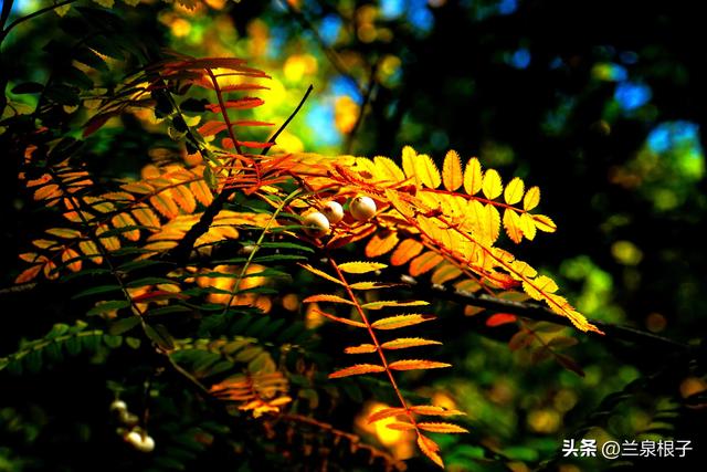 兰州黄土山旅游景点，兰州北山行随感12月23