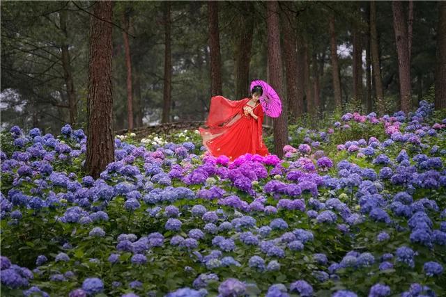 涪陵周边旅游攻略一日游最佳路线，五一去哪儿不发愁