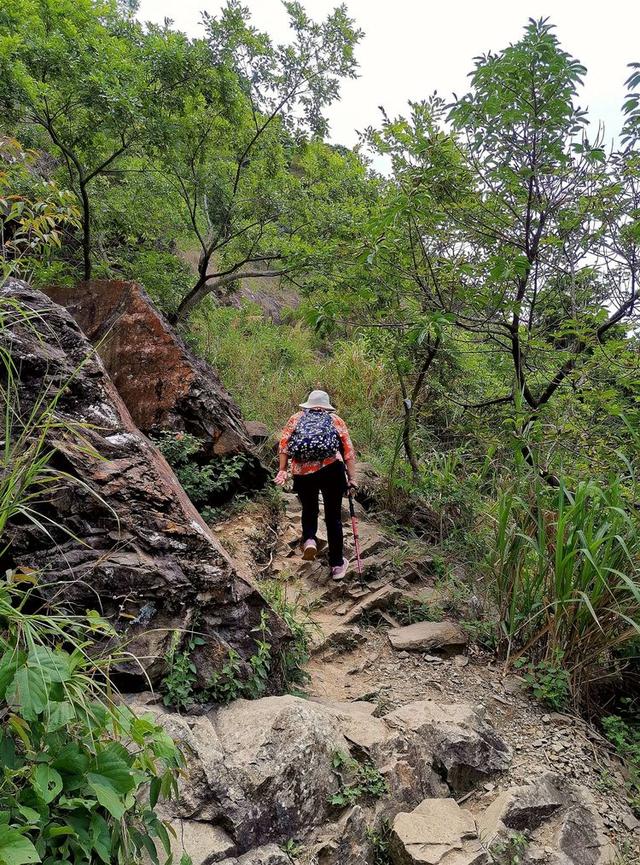 关于深圳梧桐山简介，深圳之巅——梧桐山