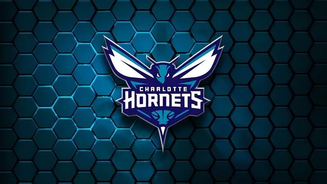 nba黄蜂队有哪些球员，NBA球队中山猫黄蜂