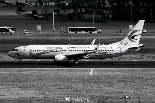 东航坠机最新消息，东方航空公司历史空难（为何还要调查那么久）