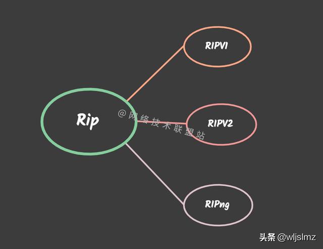 路由协议之rip协议简介，距离矢量路由协议