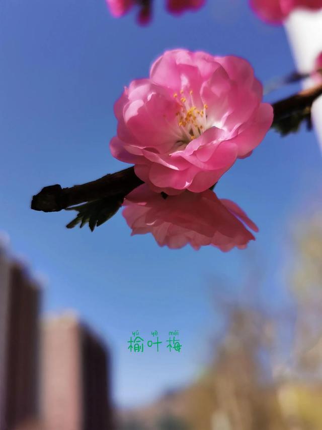 兴国县方言大全，围场方言大全一百三十三