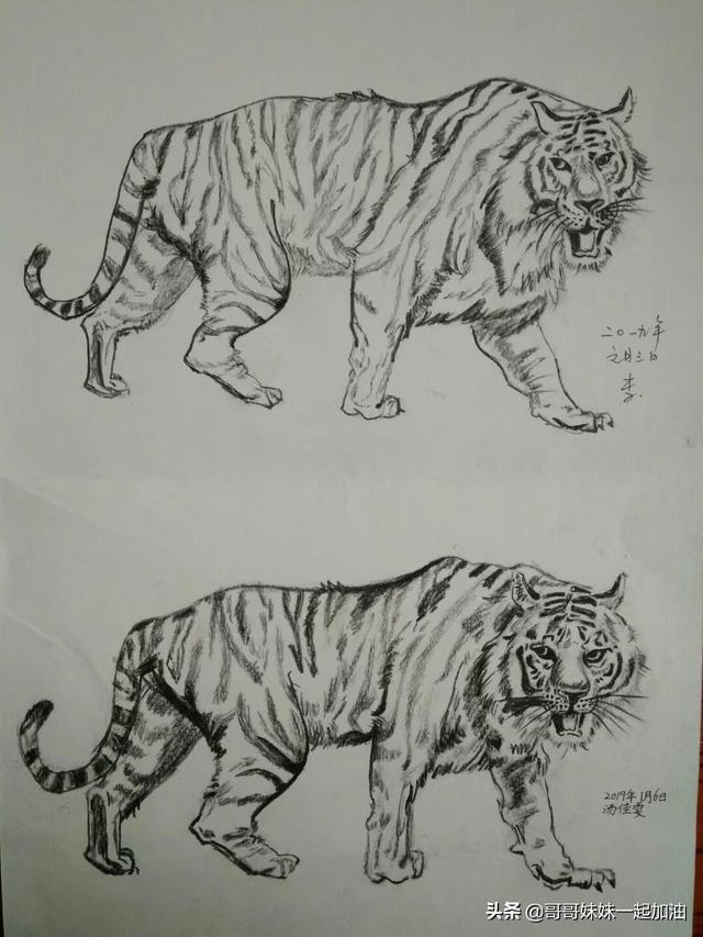 少女心的手抄报，a4纸画少女可爱手抄报