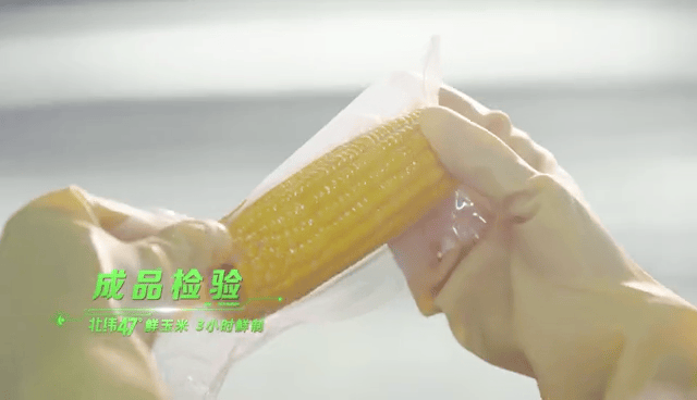 北纬47度是哪，原来你是这样的北纬47