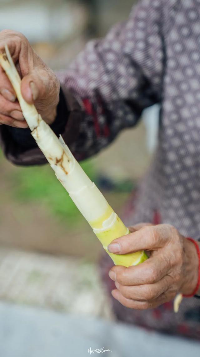 武汉菜市场价格，武汉的菜市场都在哪里（“武汉买菜测评\