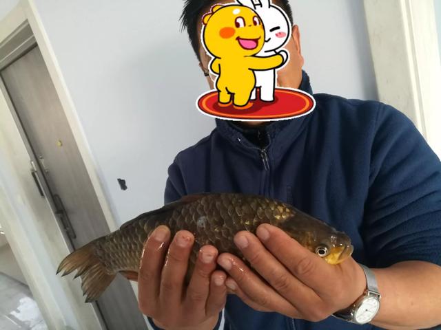 传统钓鱼竿一般需要买多少米，传统钓竿长度几米合适