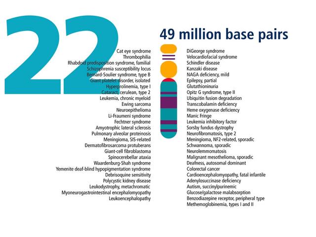 6号微小染色体缺失，英国女孩变成“三无人类”