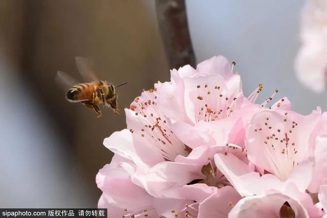 北京带孩子玩的地方推荐，北京小宝宝周末遛娃必备好去处（带娃去京郊这4个天然氧吧游山戏水~）