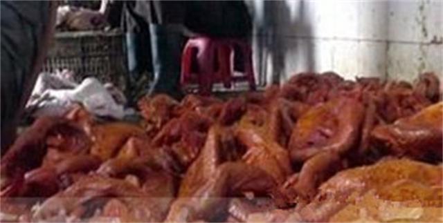 北京烤鸭事件怎么回事，“黑心北京烤鸭”团队被抓