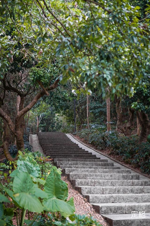 深圳地铁1号线游玩，免费地铁直达深圳这些地方一天玩遍