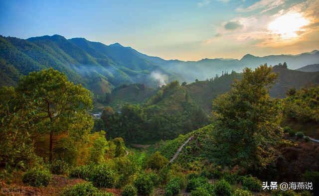 十大名茶安徽几个，享誉全国的安徽四大名茶