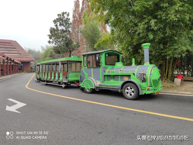 武夷山五日游必去景点，带你穿越千年历史