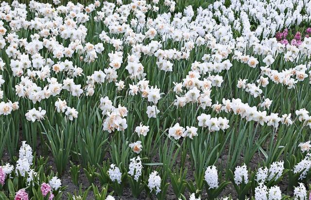 民间歇后语900句，记住100条歇后语