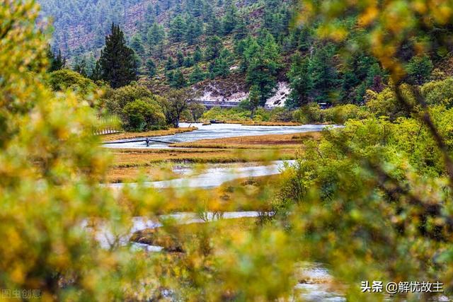 四川最好的草原花海，四川这地有块红草地