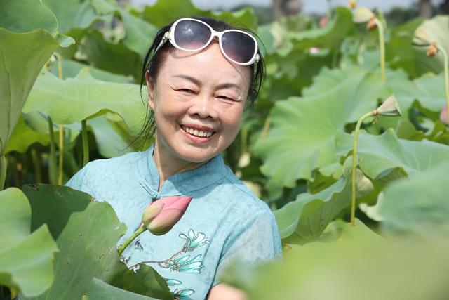 名家禅意水墨荷花，水墨淋漓写荷韵