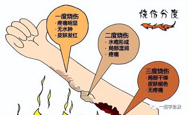 应急急救知识科普，世界急救日应急救护科普知识