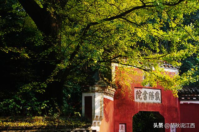 江西的山有哪些，江西的几座名山（庐山有“匡庐奇秀甲天下”之美誉）