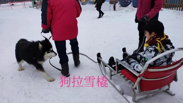 西岭雪山攻略一日游，西岭雪山旅游攻略11月