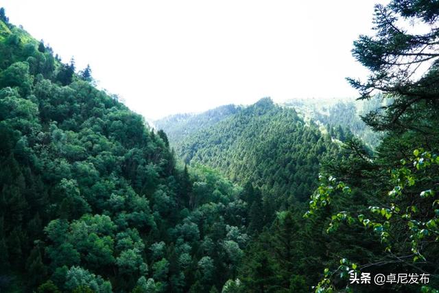 大峪沟旅游风景区介绍，最能治愈人心的便是这世间的绝美风景