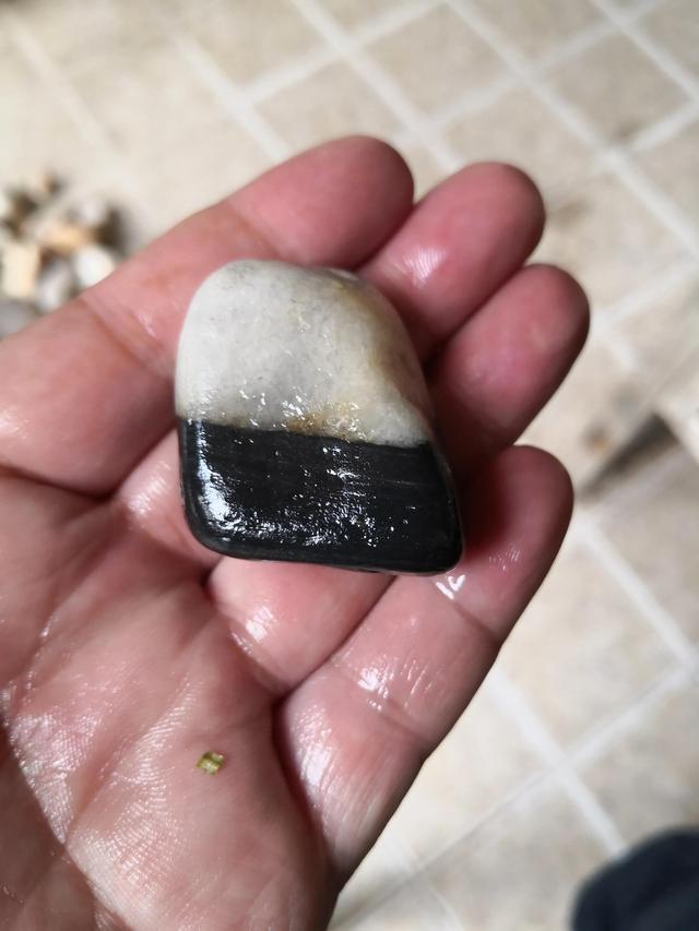 河流寻石记，渭河拾石记