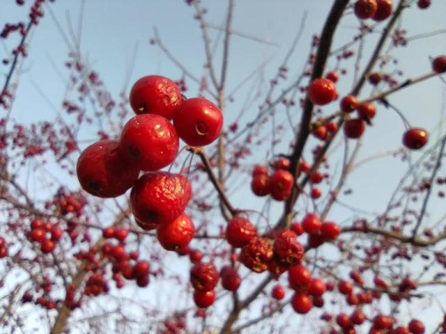东陵区郊野公园，沈阳东陵郊野公园的美景真好