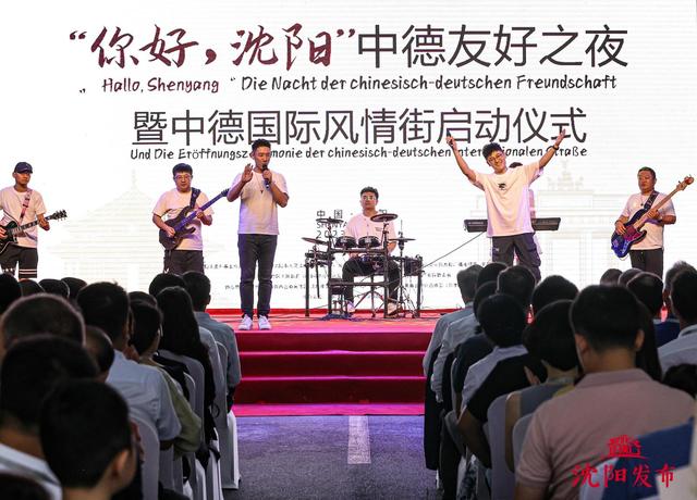 沈纯正糖尿病(沈存正糖尿病治疗仪是真的吗)