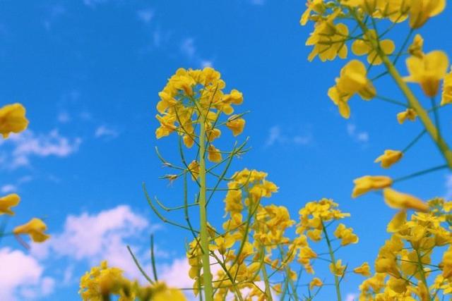 人生悟道50句语录，值得细细品悟的人生格言