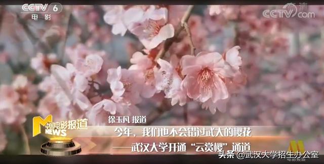 武大历史最好的校长，陈毅评价“一代完人”