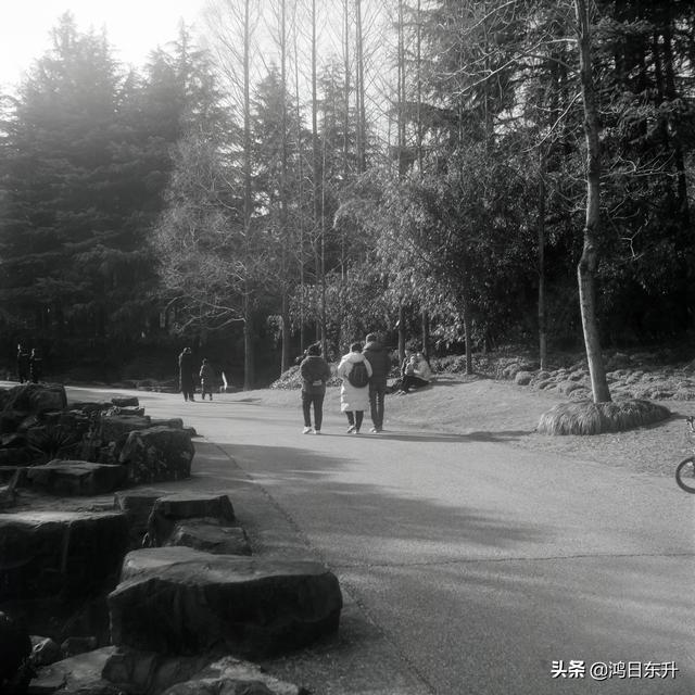 复古情怀胶片相机满满的仪式感，九款实用仿拍立得胶片感APP大测评