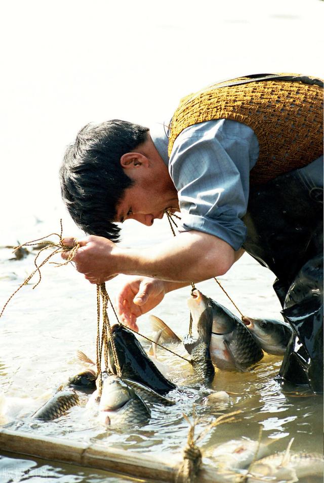 已经失传的民间技艺，闽北非遗技艺弓鱼术