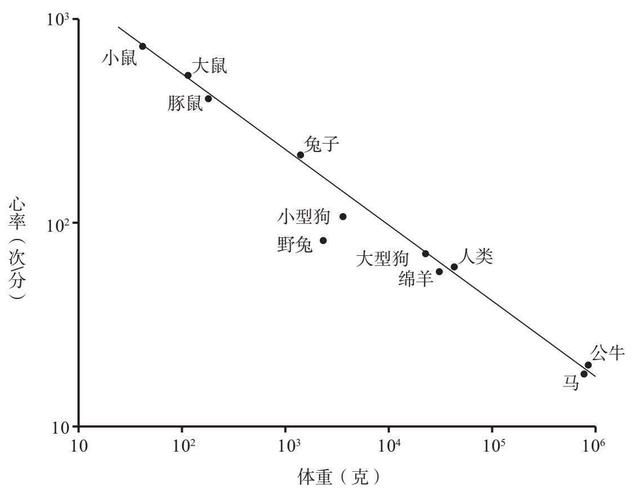 自然科学界三大定律，马克思主义为什么行