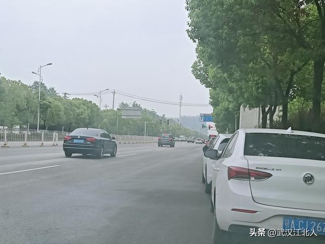 武汉 各区城镇人口，城区人口数据——湖北篇