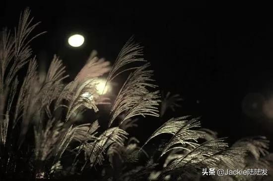 港乐时代经典语录，再看港乐的词作水平