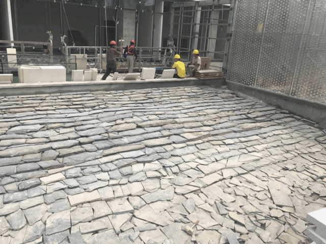 砂岩是什么岩石，泥岩和砂岩页岩的主要区别（哪些岩石中有宝石？—化石）