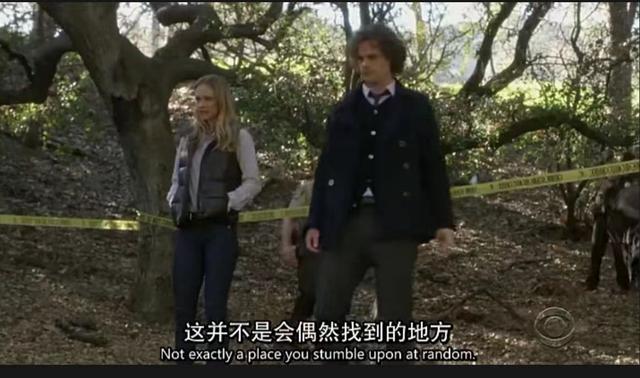 美剧犯罪心理最新季，12月初最新上线的6部黄暴美剧