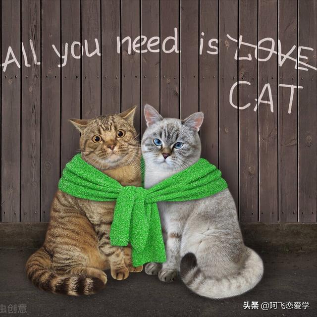 恋爱中如何撩男友，20个撩男友小技巧