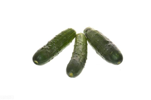 猫能吃什么蔬菜，猫猫都能吃哪些蔬菜